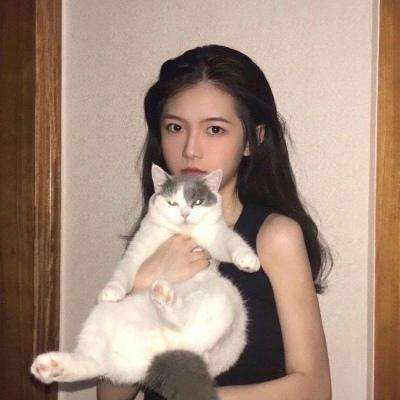 传说大陆之天途修仙手游下载